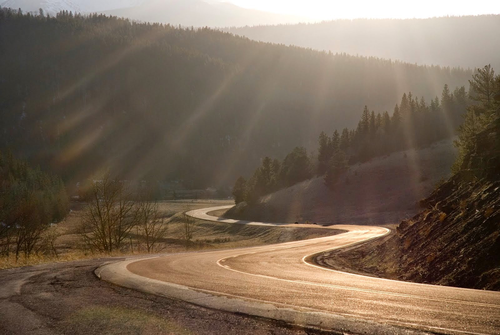 Road Rays