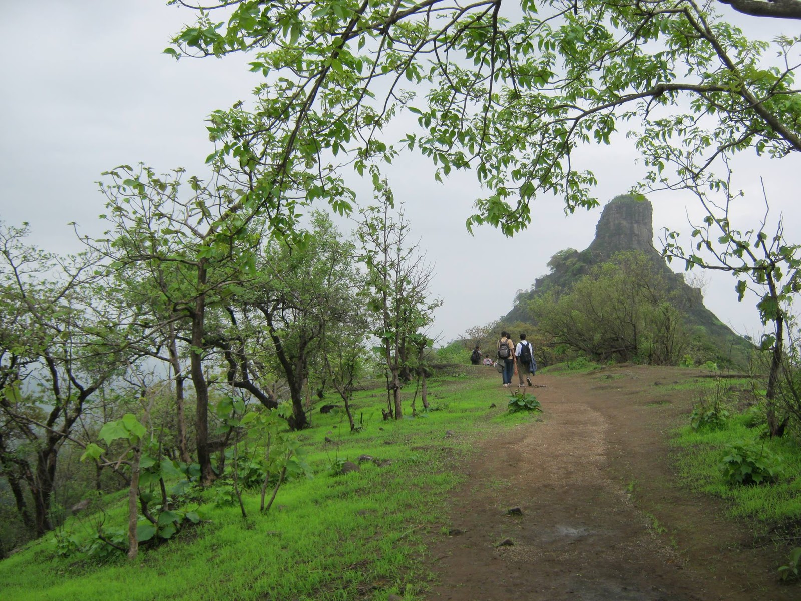 SECR Trek to Karnala Fort / Bird Sanctuary on 26 July