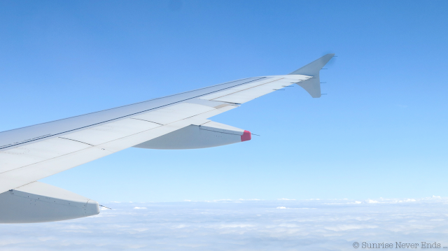 avion,biarritz,vu du ciel