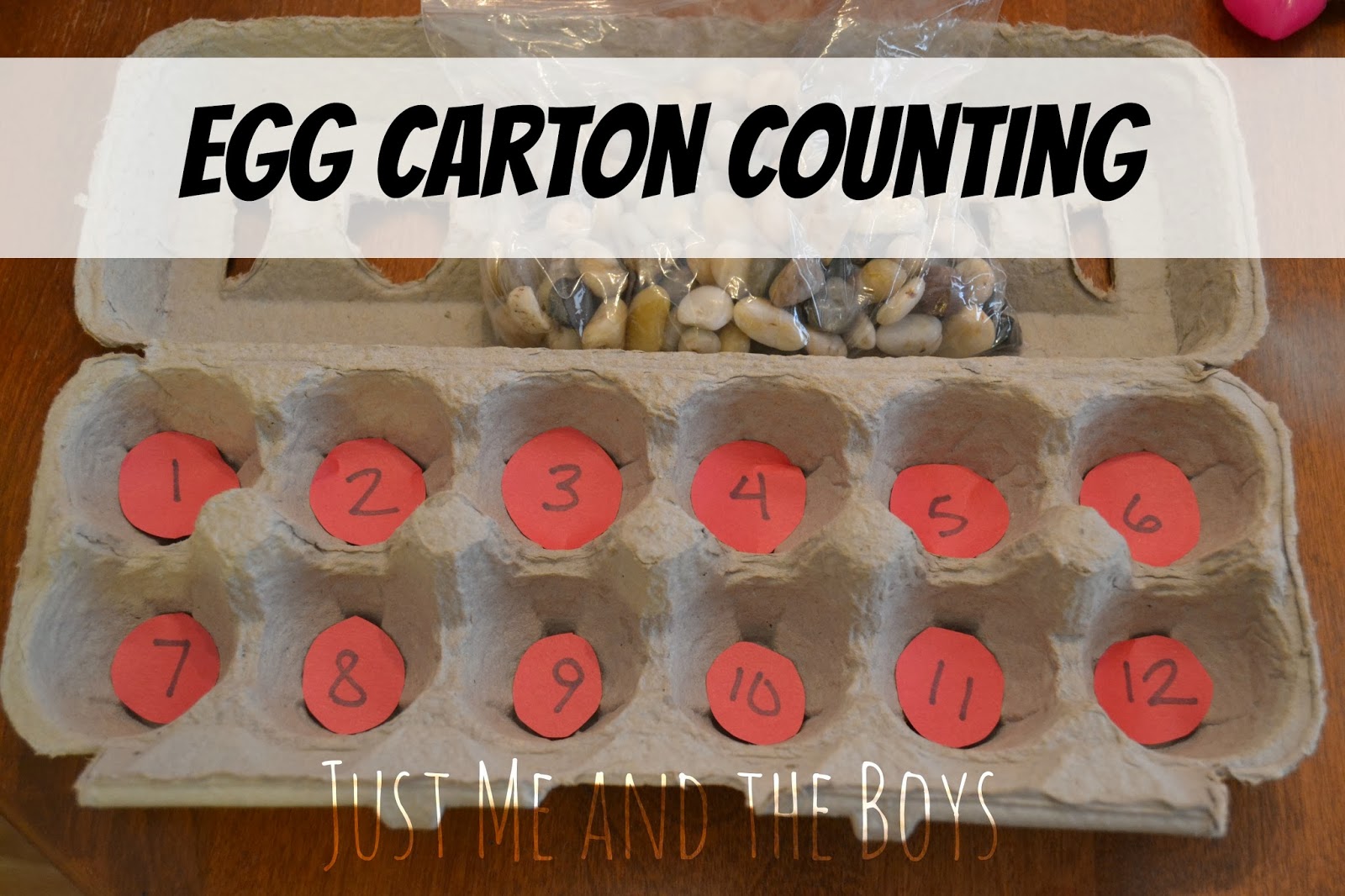 Just Me and the Boys Egg Carton Counting