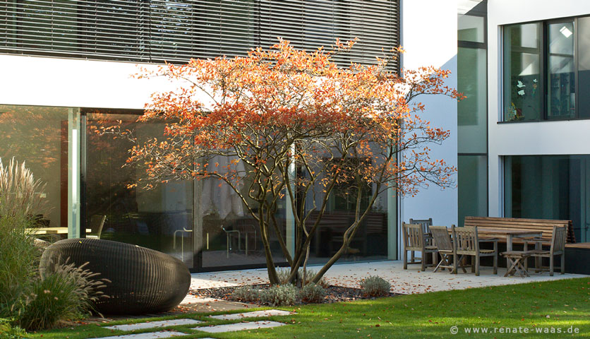 gartenblog zu gartenplanung, gartendesign und gartengestaltung gartenblog zu gartenplanung, gartendesign und gartengestaltung, Hause und garten