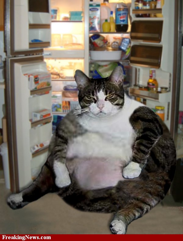 Curmudgeon FAT CATS GETTING FATTER