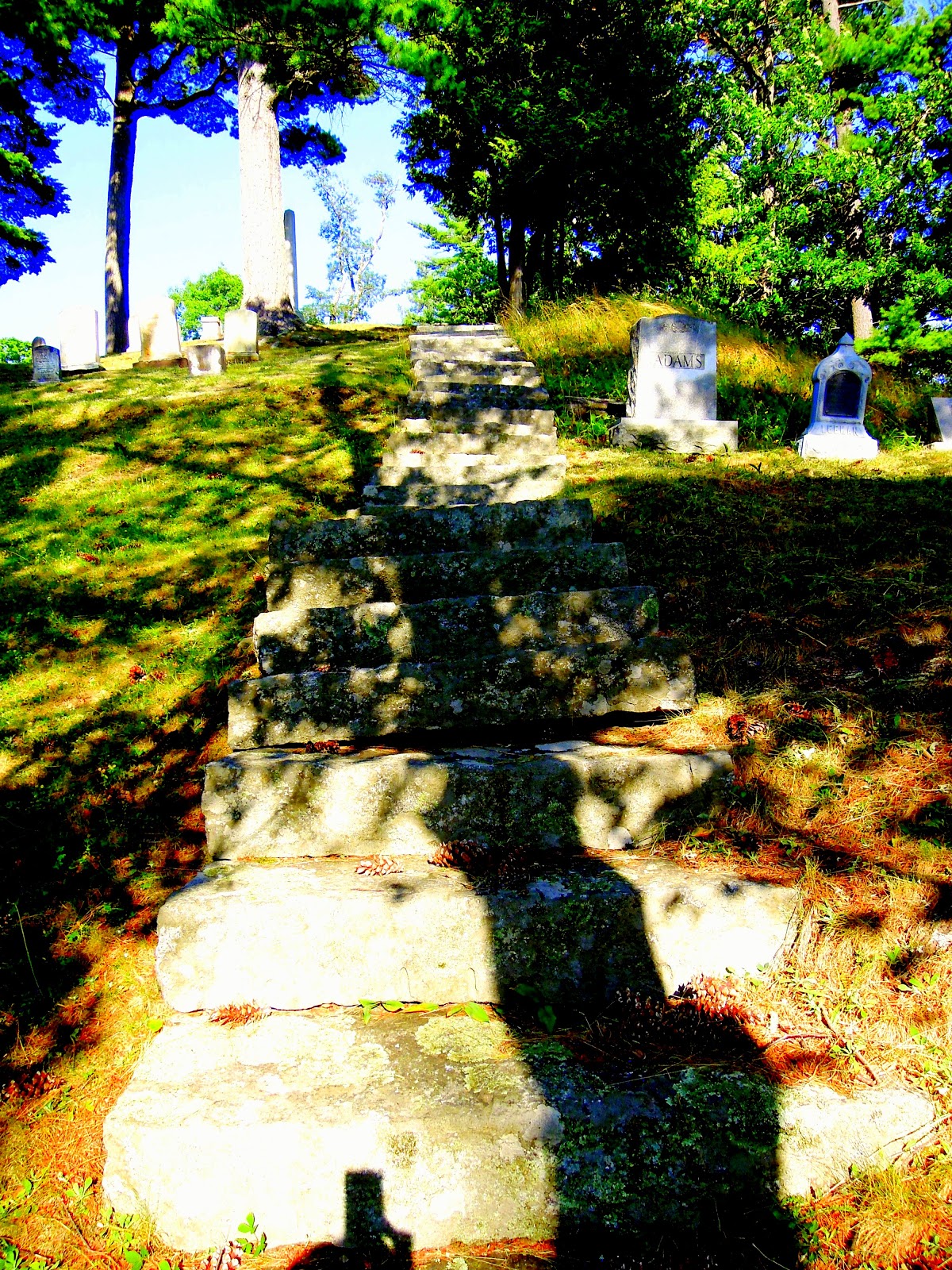 Graveyard Picnic Mt. Hope CemeteryBangor,Maine