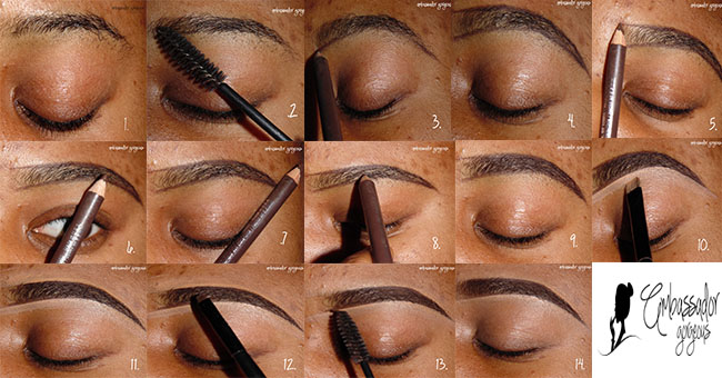 Ambassador Gorgeous Beauty Those Things Called Eyebrows