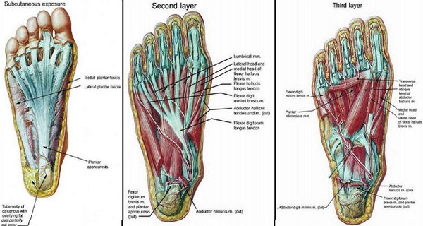 These 5 Foot Exercises Can Relieve Back, Hip & Knee Pain In Under 20 Minutes Foot