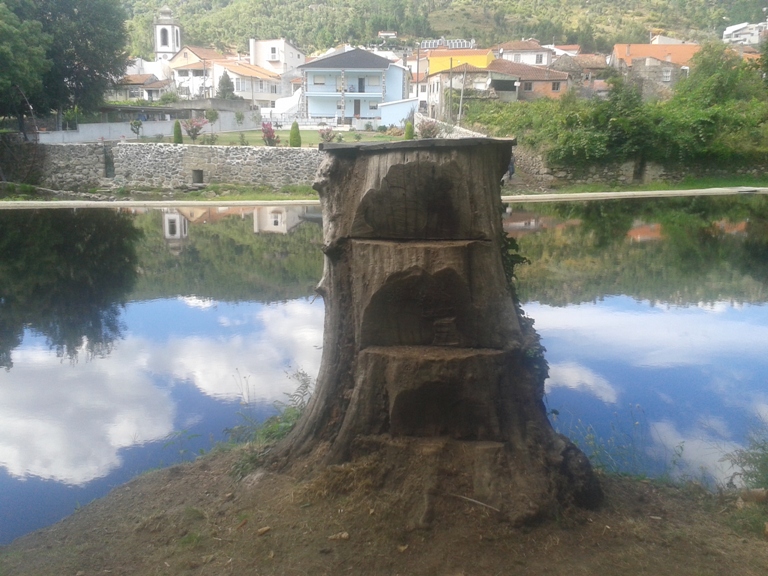 Tronco de árvore que serve de prancha de saltos Tronco de árvore que serve de prancha de saltos