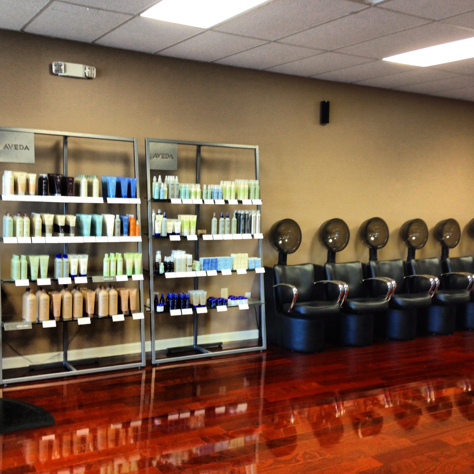 Dominican Hair Salon Atlanta By Mia 404 696 8887 Aveda In Store
