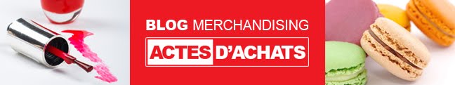 BLOG MERCHANDISING