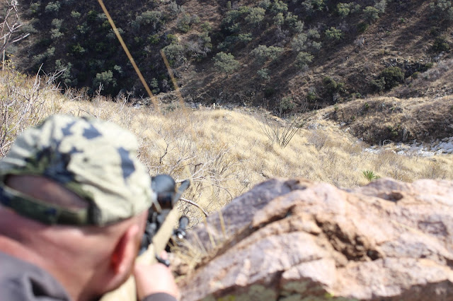 Mexico%2BCoues%2BDeer%2BHunting%2Bin%2BSonora%2Bwith%2Bguides%2BColburn%2Band%2BScott%2BOutfitters%2B3.JPG