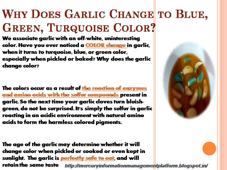 Have You Seen Blue Garlic Color; What Are the Reasons