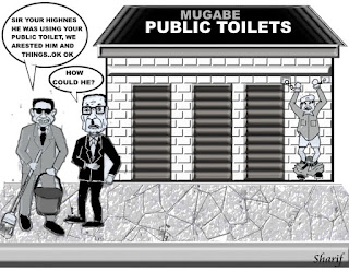 World Wide Cartoons  Mugabe+and+Public+Toilets+2