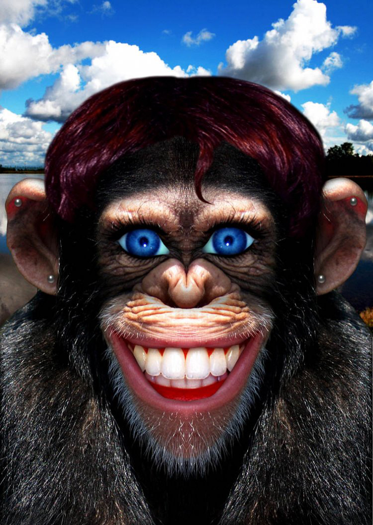 [Image: funny+photoshop+grinning+chimp+monkey+hu...hybrid.jpg]