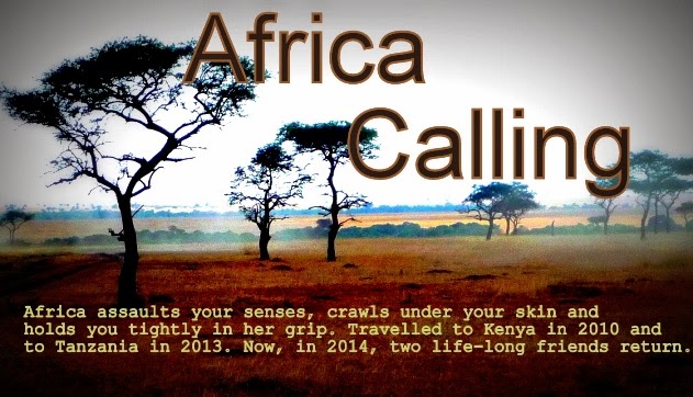 Africa Calling