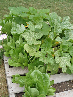 Pallet Garden 