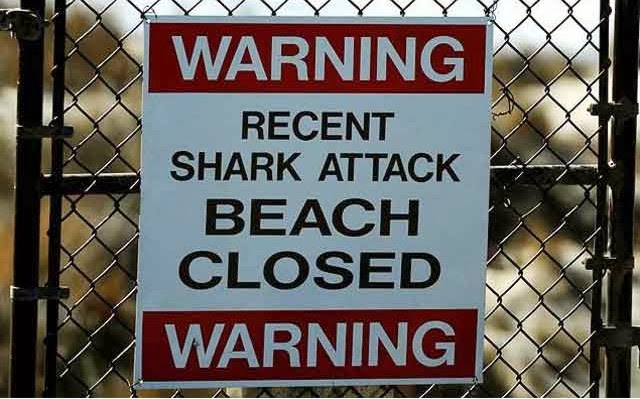 informe ataque tiburones