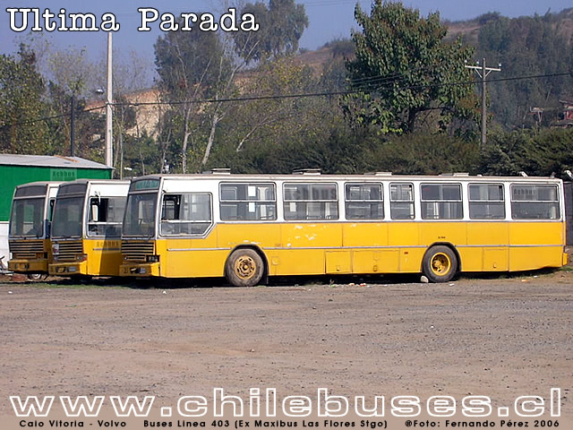 Caio Buses