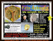 FOTO-Design-Schmuck