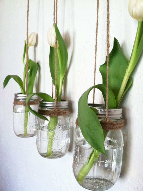 Mason Jar Hanging Vases