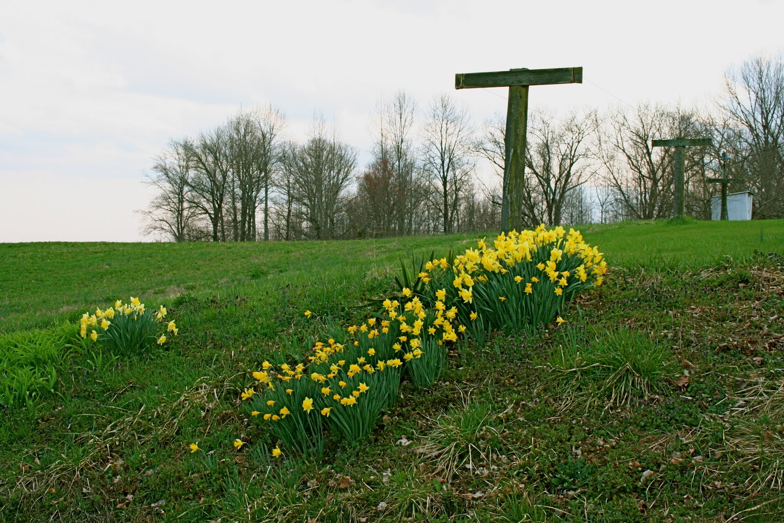 Spring in Kentucky