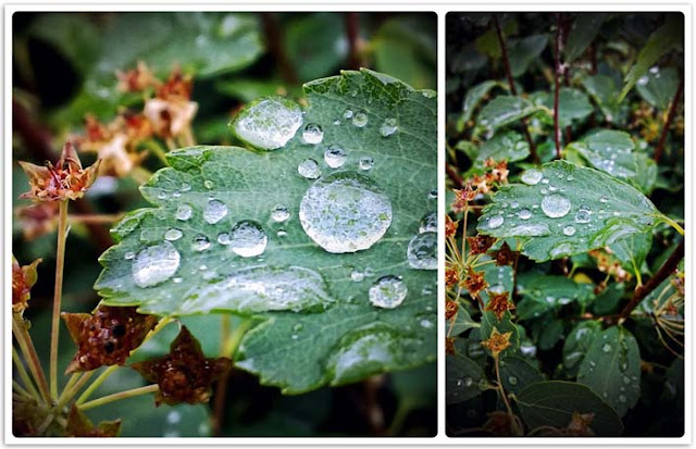 Nokia N9 photos