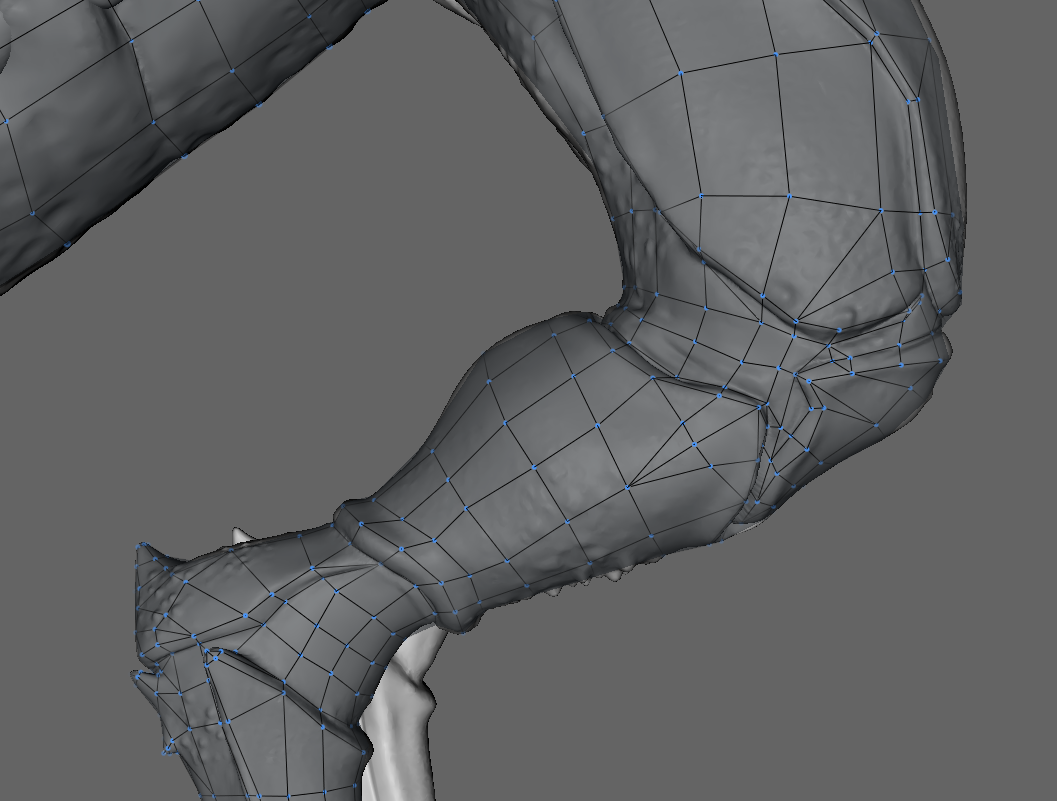 Knee2.png