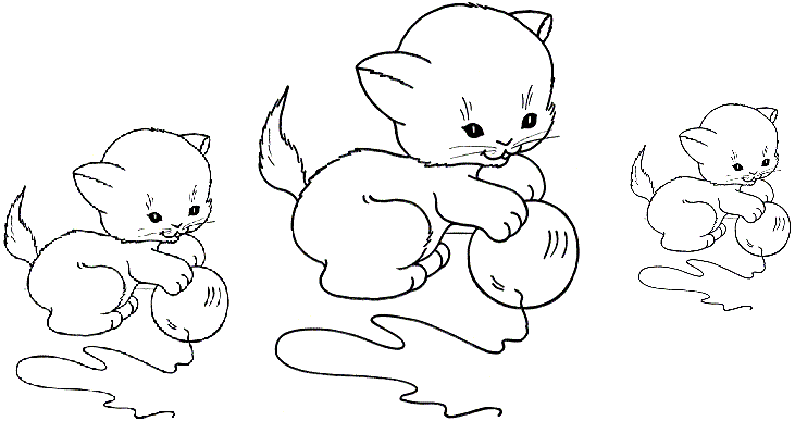 Line Drawing Kitten : Clip art line drawing kindergarten worksheet guide