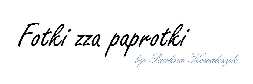 Fotki zza paprotki