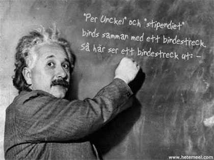 Albert Einstein ger Moderaterna stödundervisning i svenska.