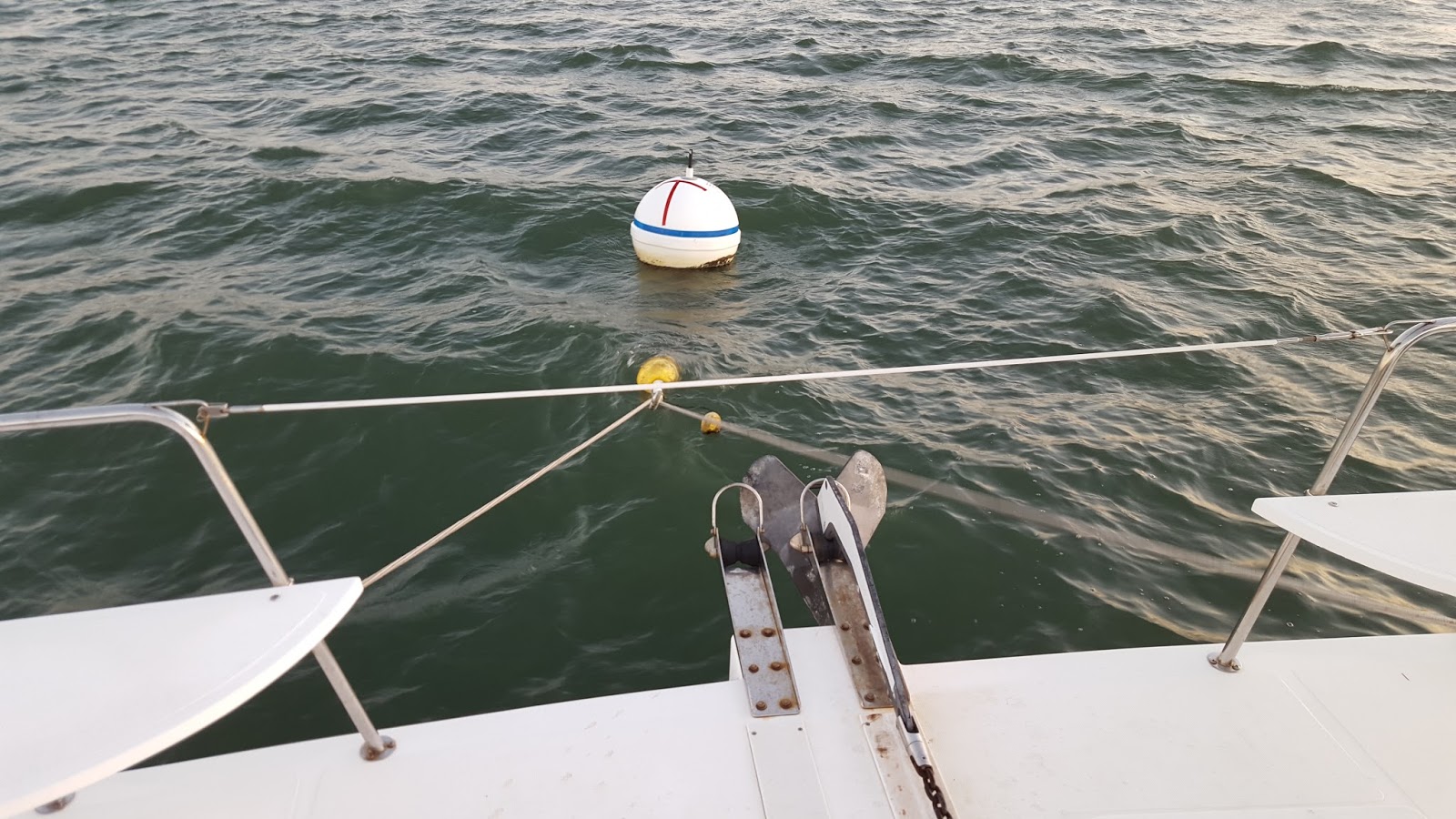 Took the Plunge has Simplified! Finally feels like Florida