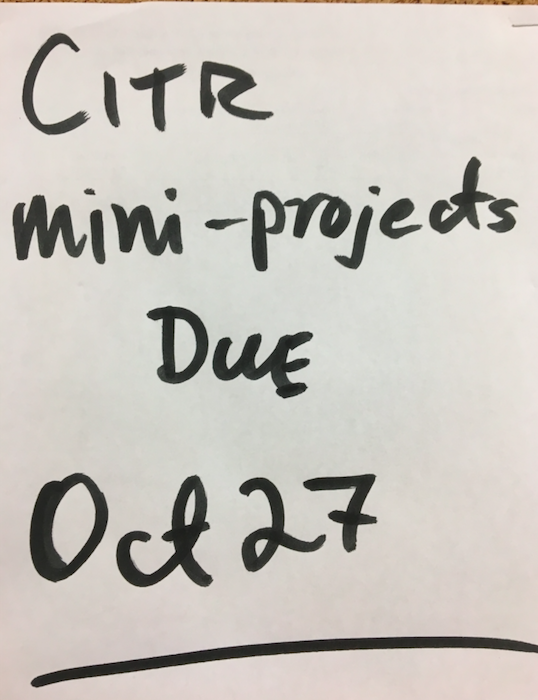 CitR mini project due date