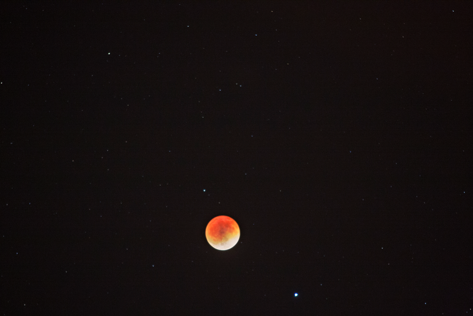 My Husband's Blood Moon