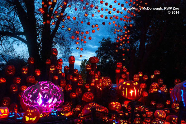 jack o lantern spectacular roger williams jack o lantern spectacular roger williams