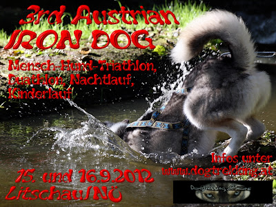 Plakat+Iron+Dog+2012.jpg