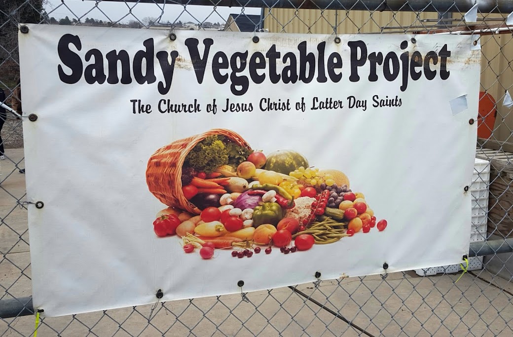 Sandy Vegetable Project