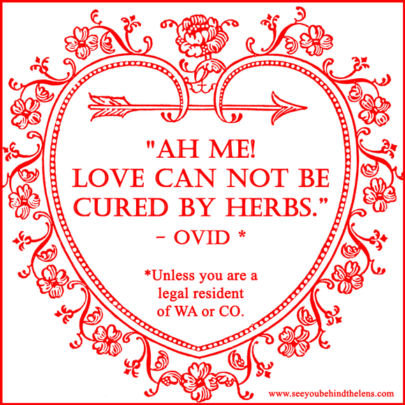 Love Can Not Be Cured By Herbs - Unless You Are A Legal Resident of WA or CO #Marijuana #QuoteoftheDay