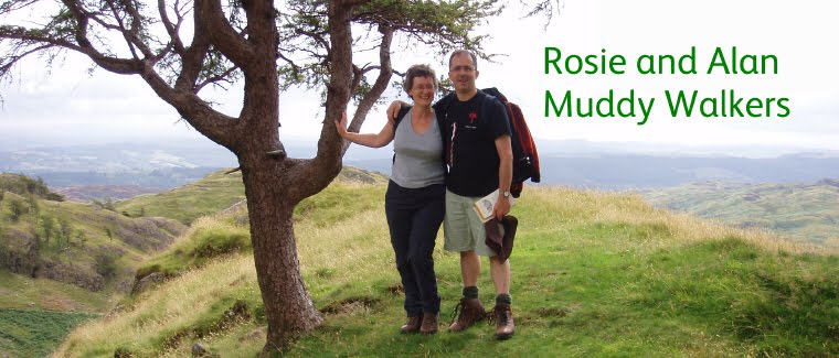 Rosie & Alan: muddy walkers