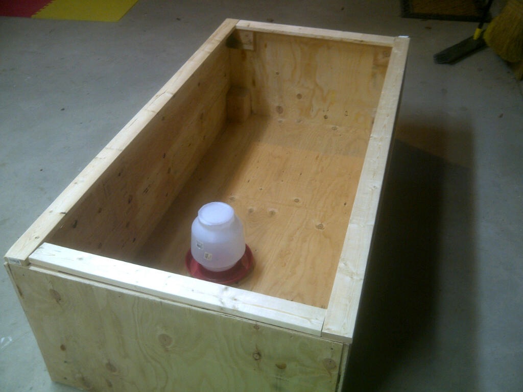 Two Blue Boots Homemade Chick Brooder for 50