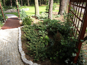 Zimozielony Ogrod Maja 2012