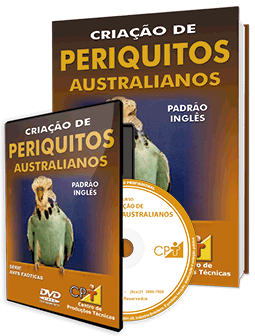 Curso de criação de periquitos: