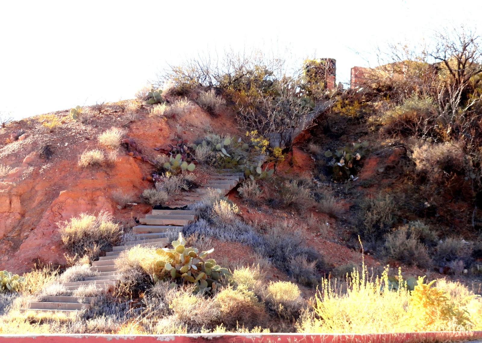 danger garden A few driveby’s in T or C, New Mexico...