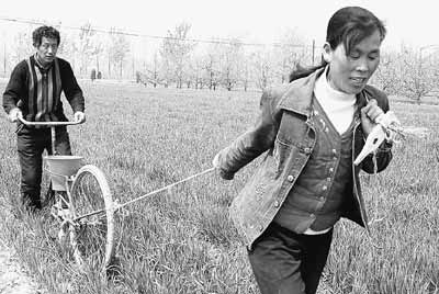 KoreanWomanPullingManOnBicyclePlow_forbidden_north_korea.jpg