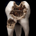 Civilizaciones milenarias en molares