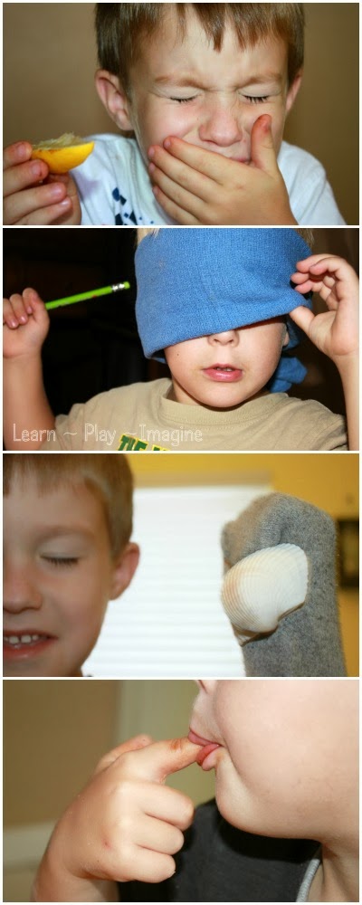 12 hands on games and activities to teach children about the five senses