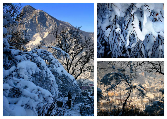 collage with images from Vratsa, Bulgaria 