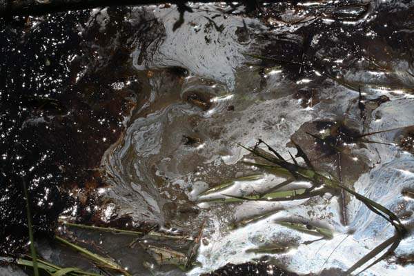 Oil Spill River