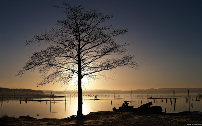 hd wallpapers 1080p | HD Wallpapers