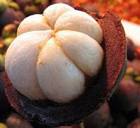 Benefits and Mangosteen Efficacy For Skin Health