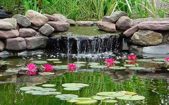 ARTE Y JARDINERÍA : DISEÑO DE JARDINES. Jardines con agua