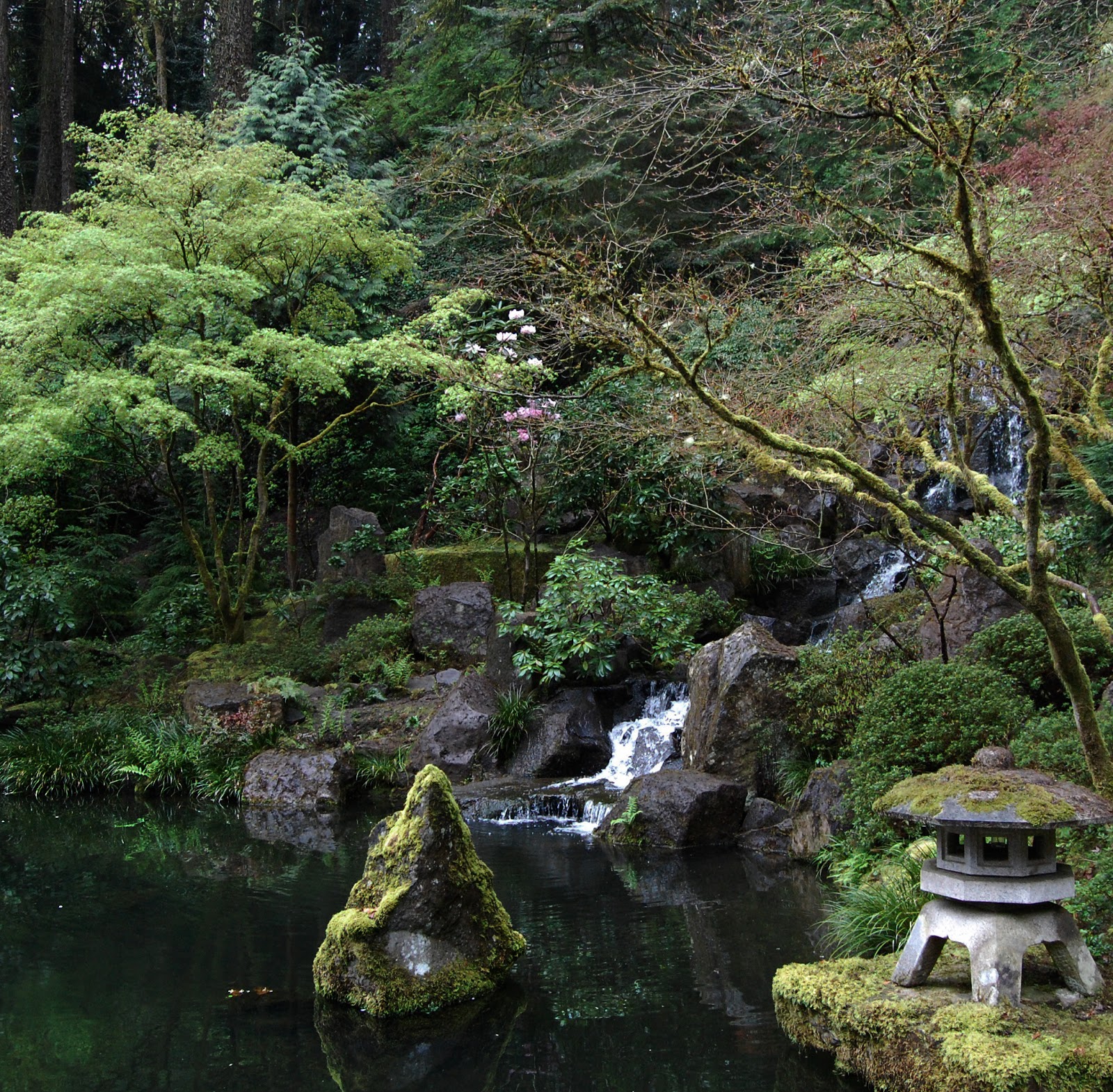 japanese garden