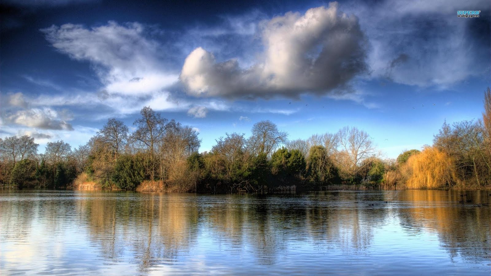 http://1.bp.blogspot.com/-r02pa7370R0/TjBnPcgh9TI/AAAAAAAABaI/x8HXwkdMxXo/s1600/battersea-park-4918-1920x1080.jpg